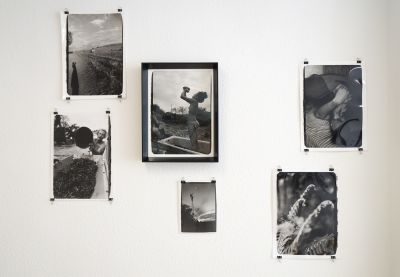 El Archivo Invisible