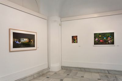 Nocturnos- Sala Pescadería Vieja