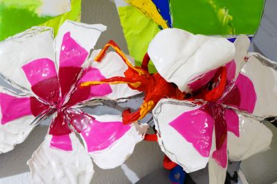 ¿De qué hablan las hormigas del corral?