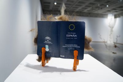 Animales en compañía