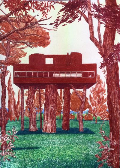 Casa en el árbol III