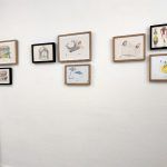 Plantas de interior - Imagen 2