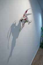 Golondrina alimentando al Mochuelo - Imagen 3