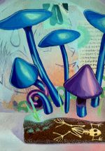 Deseordenados 12 - Imagen 1