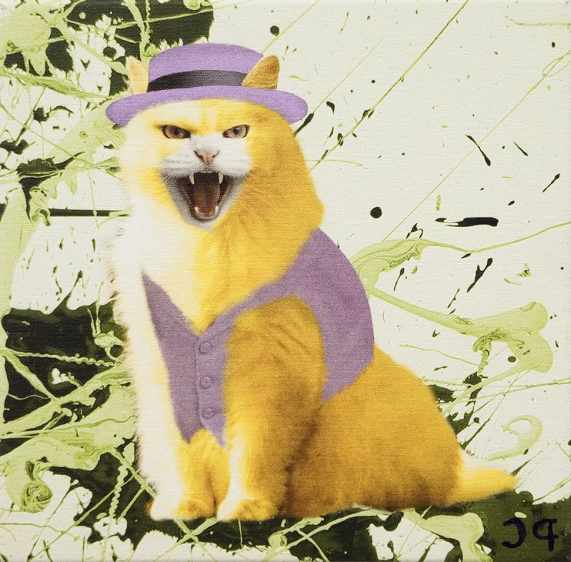 Hannational Barberaphic. Don Gato