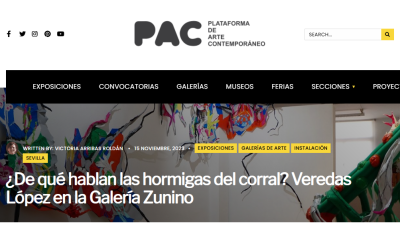 ¿De qué hablan las hormigas del Corral? Veredas López en la Galería Zunino